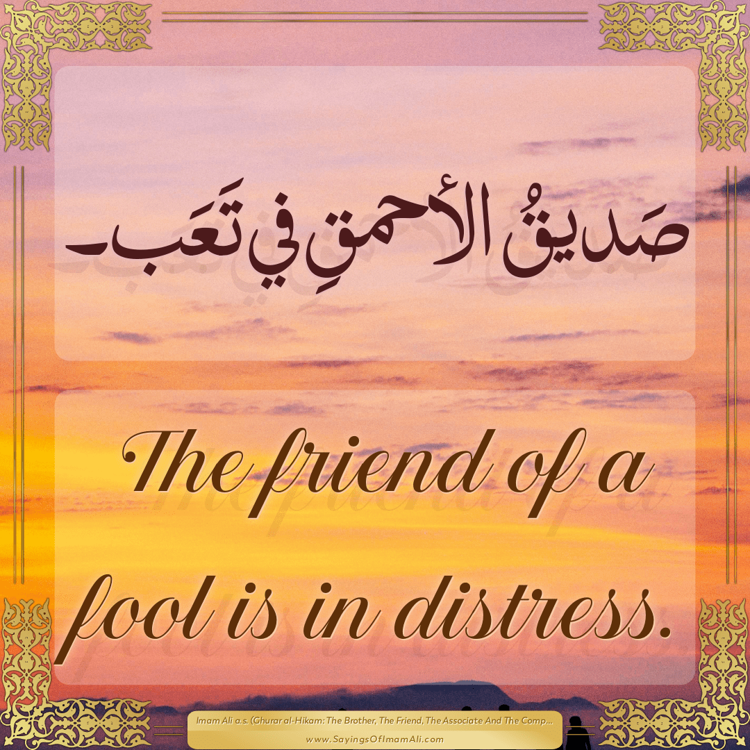 The friend of a fool is in distress.